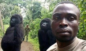 Gorillerle selfie tartışması