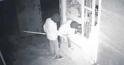 Mersin’de hırsızları kameralar ele verdi