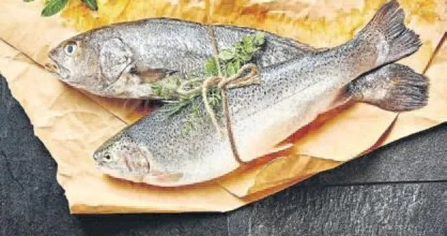 İspanyollara Türk balıkları ziyafeti
