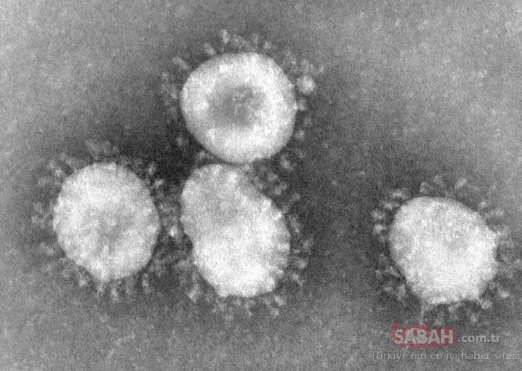 Koronavirüs astım hastalarını nasıl etkiler?