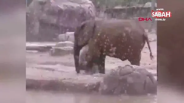 Filler yağan karın tadını böyle çıkarttı | Video