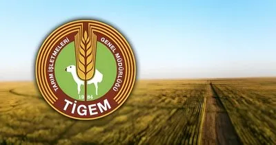 TİGEM işçi alımı bitti mi, son başvuru tarihi ne zaman? İşte, 2025 TİGEM personel alımı başvuru ekranı!