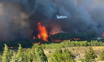 Çanakkale’deki orman yangını 6,5 saatte kontrol altına alındı #canakkale