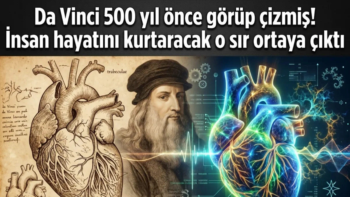 Da Vinci 500 yıl önce görüp çizmiş! İnsan hayatını kurtaracak o sır ortaya çıktı