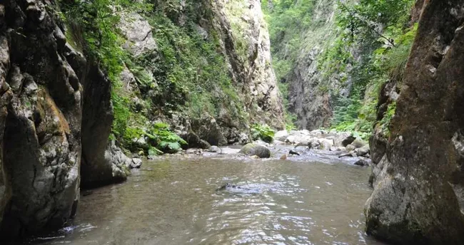Serindere Kanyonu Nerede ve Nasıl Gidilir? Kocaeli Serindere Kanyonu Giriş Ücreti Var Mı, Ne Zaman Gidilir?