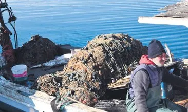 Müsilaj balıkçıları vurdu