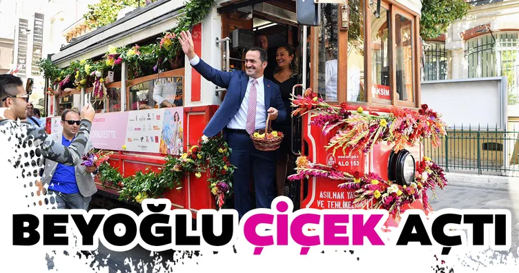 Beyoğlu çiçek açtı