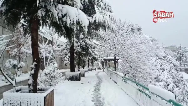Artvin'de kar yağışı etkili oldu, kartpostallık görüntüler oluştu | Video