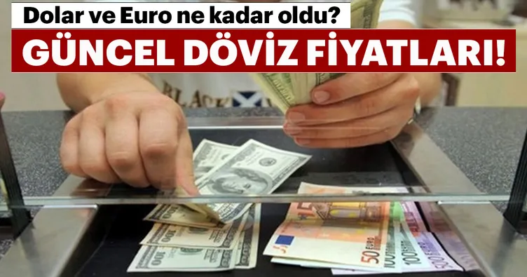 Dolar ne kadar oldu? Güncel döviz kurları | 28 Ocak 2019