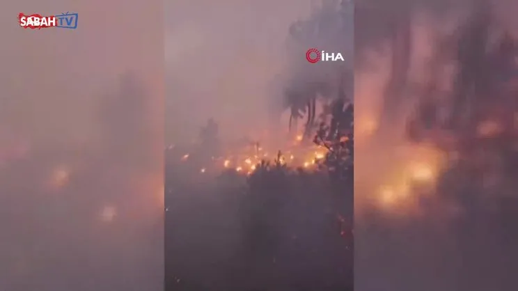 Orman yangınına giden ekipler alev çemberinin içinden böyle geçtiler | Video