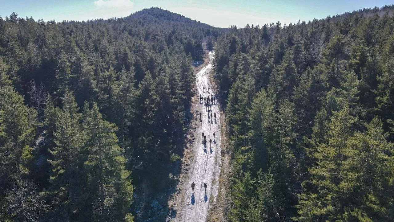 ORMANA GİRİŞ YASAĞI OLAN İLLER 2024 | Hangi illerde ormana giriş yasak, piknik ve mangal yapmak, ateş yakmak yasaklandı mı?