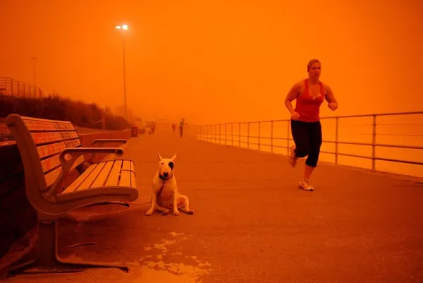 Dünya Gündeminden Başlıklar 23/09/2009