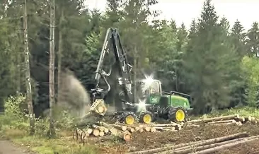 Almanlar odunla ısınmaya başladı