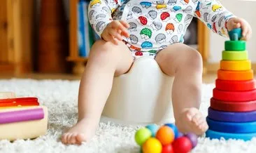 Adim Adim Tuvalet Egitimi Icin Ipuclari Cocuk Haberleri