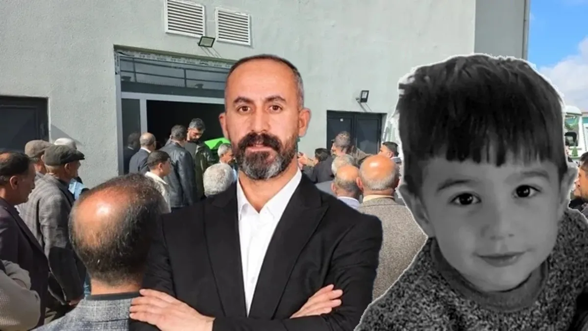 Van'da sahipsiz köpekler ve belediye yetkilileri