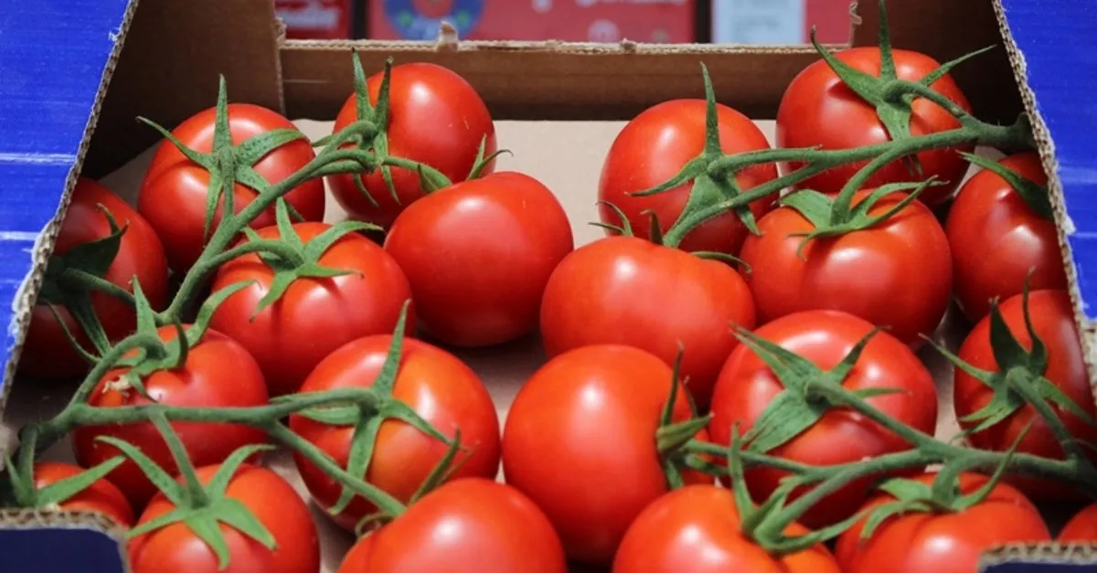 likopen nedir likopen hangi besinlerde bulunur iste likopenin faydalari saglik haberleri likopen nedir likopen hangi besinlerde bulunur iste likopenin faydalari saglik haberleri