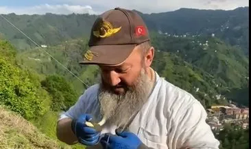 Zehirli yılanı boynuna doladı #rize