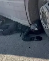 Kaskım sayesinde hayattayım