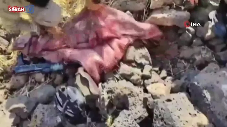 Mardin’de silah kaçakçılığı yapan organize suç örgütüne yönelik