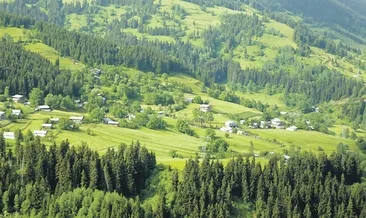 Ormanlar yeşeriyor köylüler kalkınıyor