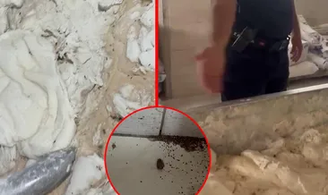 Hatay’da fırında mide bulandıran görüntüler: Hamam böcekleri ve sigara izmaritlerinden geçilmiyor