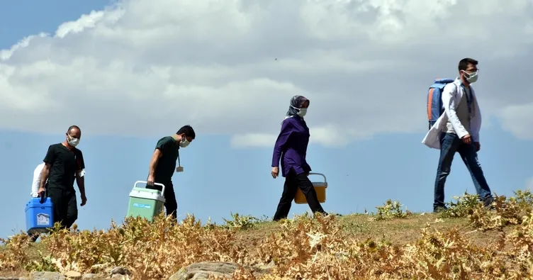 Yaylada aşı heyecanı