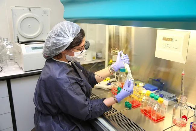 İstanbul İl Sağlık Müdürü Kemal Memişoğlu: Vatandaşlarımız bir an önce randevularını alıp aşı olsun - 11