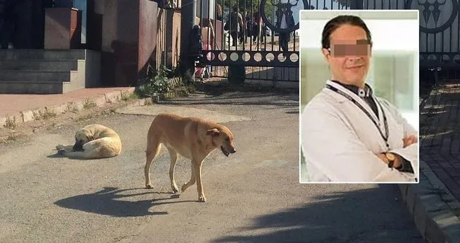 Profesor Basibos Kopegi Bicakladi Son Dakika Haberler