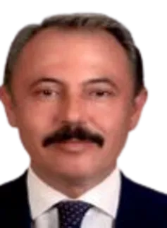 Şahin Tin