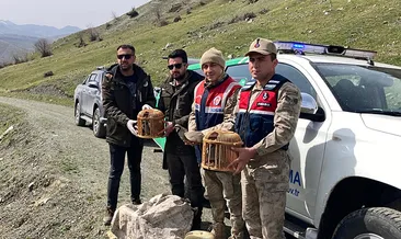 Keklik avladılar! Cezası dudak uçuklattı