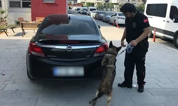 Narkotik köpeği ‘Şans’ affetmedi