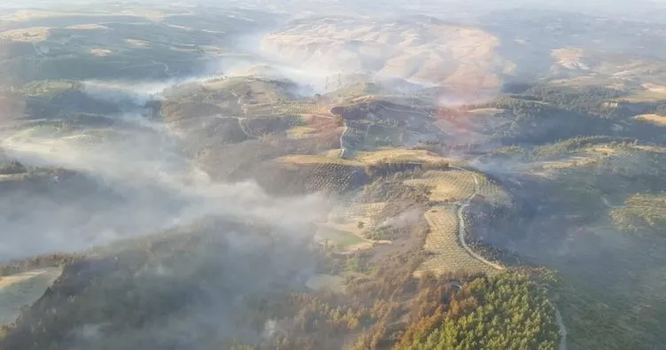 Manisa’daki orman yangını kontrol altına alındı