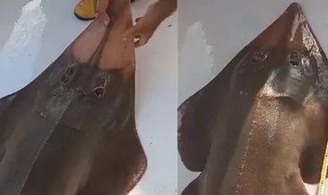 Yer Antalya: İnsan yüzlü balık yakaladı