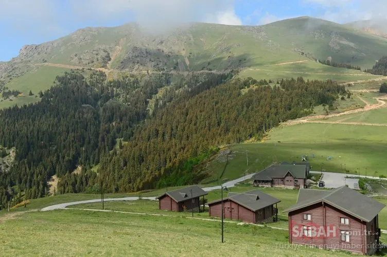 Giresun’da bin 840 metre rakımlı Koçkayası Tabiat Parkı güzelliğiyle herkesi büyülüyor