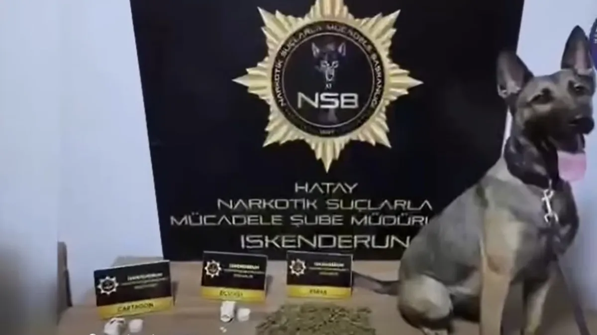 Hatay Jandarmasından zehir tacirlerine darbe: 28 Tutuklama