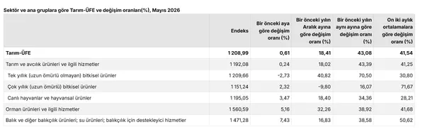 tuik-ciftcinin-enflasyonunu-acikladi-1781593911569.png