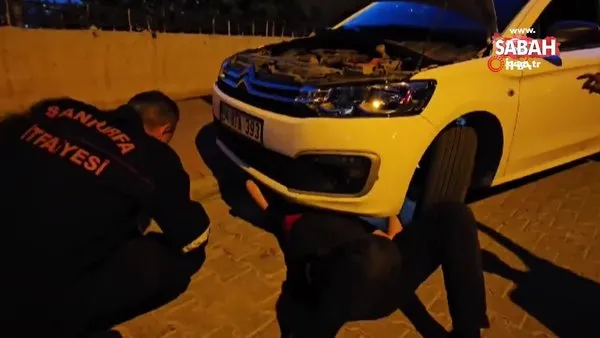 Şanlıurfa'da otomobilin motor kısmına sıkışan kedi operasyonla kurtarıldı | Video