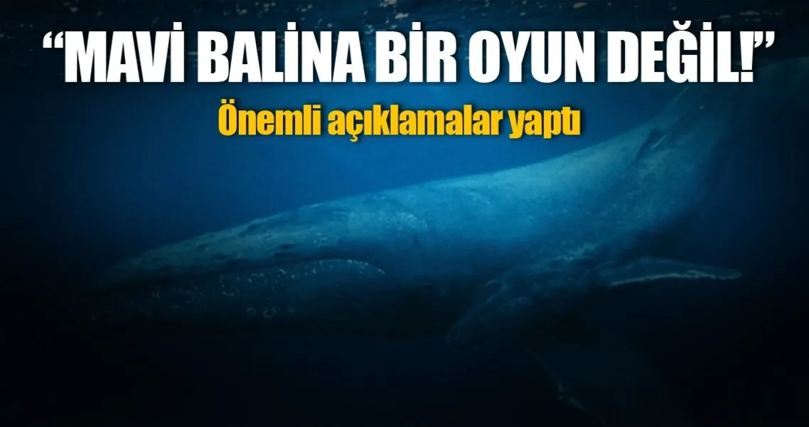 Mavi Balina Bir Oyun Degil Teknoloji Haberleri
