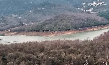 ‘Kimyasal muhtar’dan bungalov köpüğü yalanı #yalova