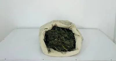 Bingöl’de jandarma operasyonu: Yaklaşık 2 kilogram kubar esrar ele geçirildi #bingol