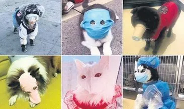 Kedi ve köpeklere maske