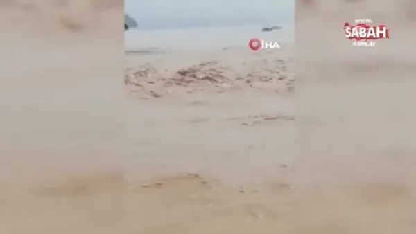 Antalya'da şiddetli yağış hayatı felç etti! Araçlar selde sürüklendi: Korkunç görüntüler | Video