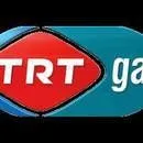 GAP TV yayına başladı