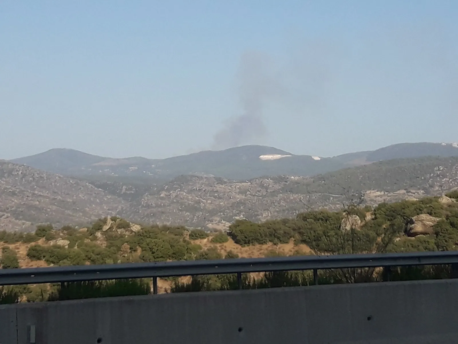 Muğla’da orman yangını