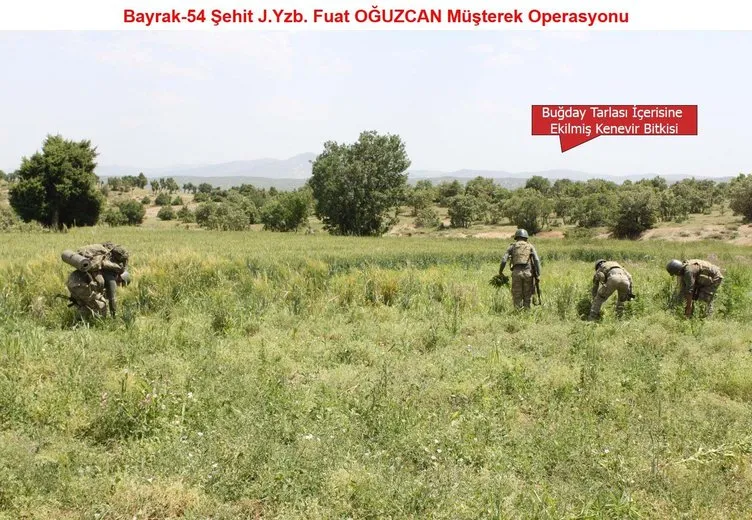 Son dakika: Diyarbakır’da büyük operasyon başladı