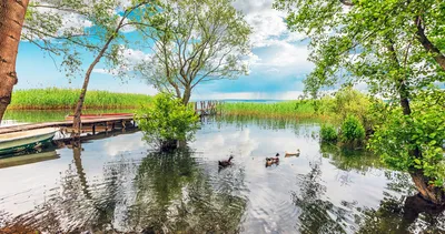 Sapanca Piknik Alanları - Sakarya Sapanca’da Gidilecek Piknik Yerleri ve Mesire Alanları