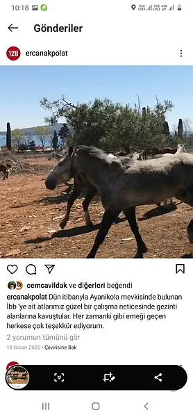 ibb-adalardaki-atlarin-bakim-ve-sahiplendirme-islerini-yapmamis-1620664152452.jpg İBB, Adalar’daki atların bakım ve sahiplendirme işlerini yapmamış!