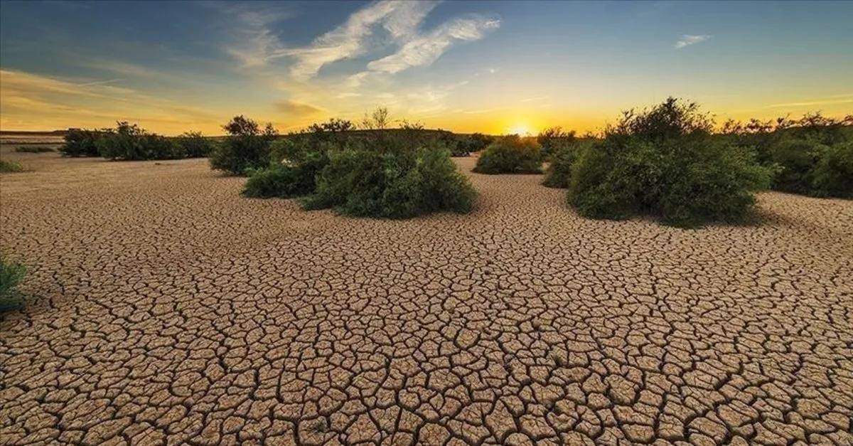 Gelişmekte olan ülkelerin iklim faturası yıllık 310 milyar doları aştı Gelişmekte olan ülkelerin iklim faturası yıllık 310 milyar doları aştı