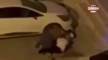 Adana'da evden kaçan pitbull dehşeti! Sahibini ve 2 kişiyi yaraladı