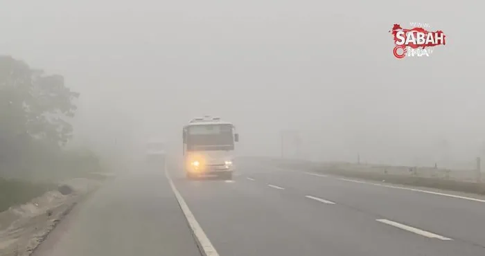 Sakarya güne sisle uyandı: Görüş mesafesi 20 metreye kadar | Video